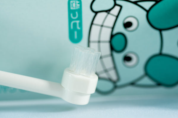 Round Head Dog Toothbrush with replacement head